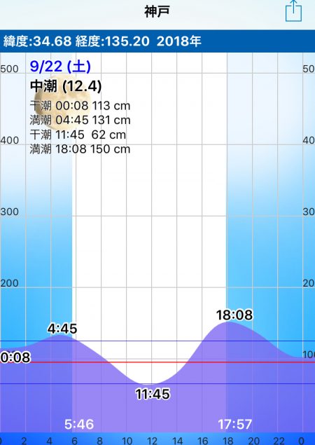 ハマチ、太刀魚